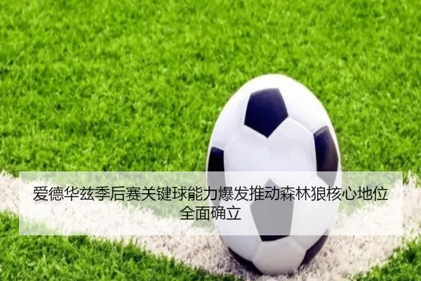 爱德华兹季后赛关键球能力爆发推动森林狼核心地位全面确立