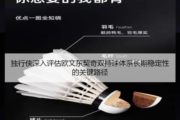 独行侠深入评估欧文东契奇双持球体系长期稳定性的关键路径